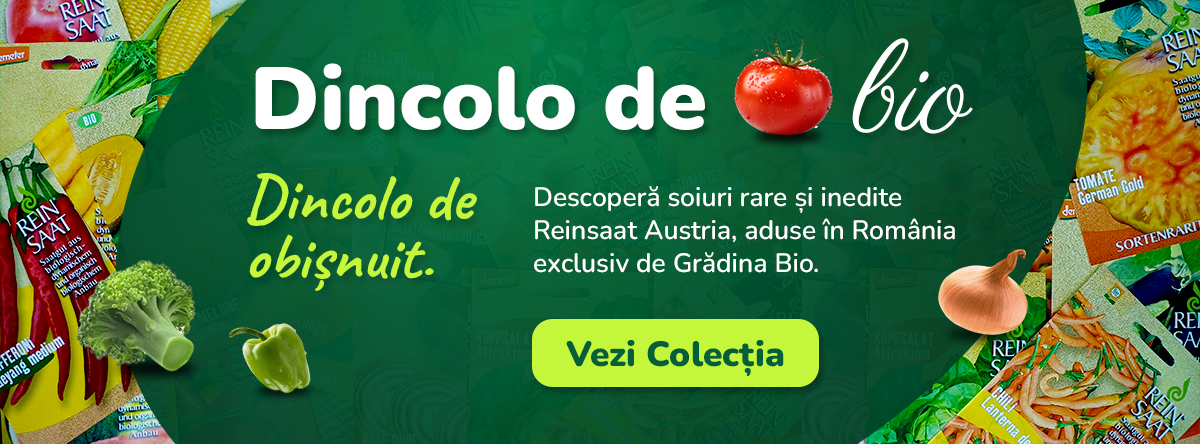 Dincolo de Bio